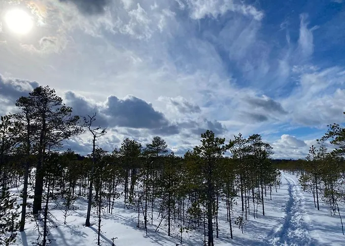 Karula - Romantic Glamping I At Karula National Park, Hot Tub Optional * Ahijarve