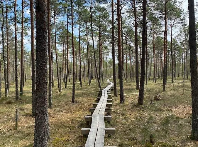 Luxussátor Karula - Romantic Glamping I At Karula National Park, Hot Tub Optional